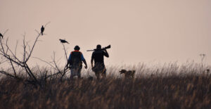 Public Hunting Land in Kansas