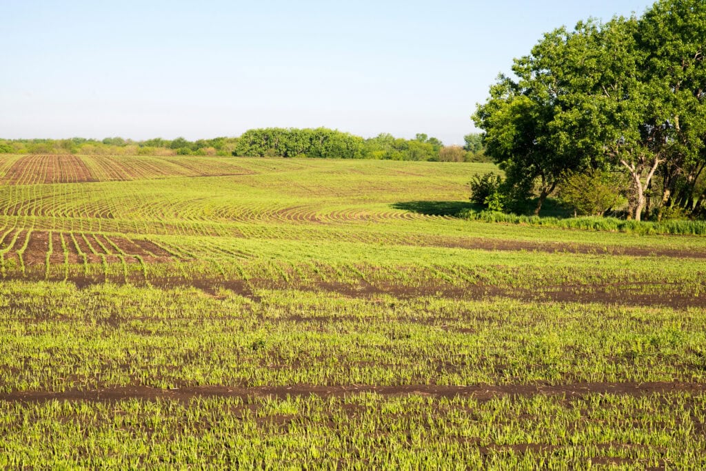 Buying Land in Kansas