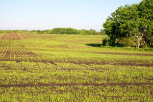 Buying Land in Kansas