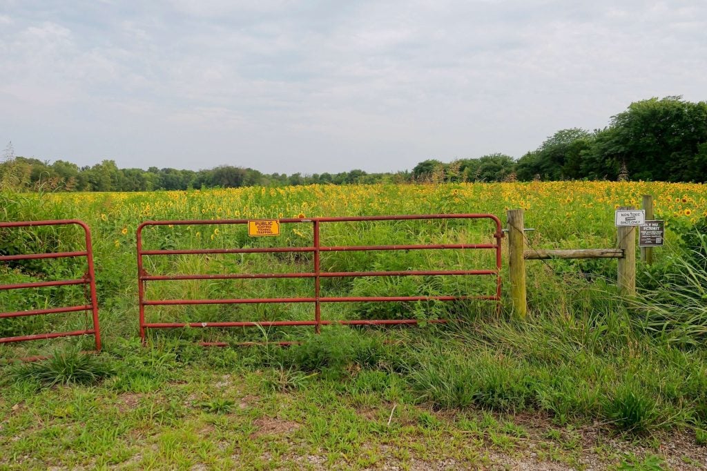 Buying Recreational Land