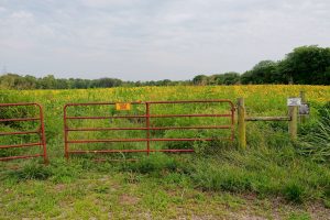Buying Recreational Land